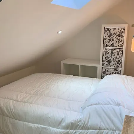 Triplex Moderne Avec Cheminee, Balcon Et Parking A - Fr-1-812-78 Apartment *